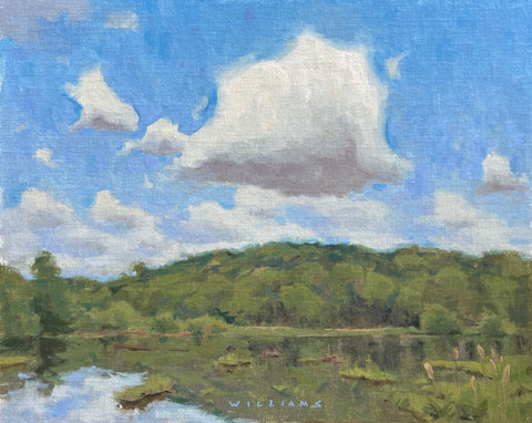 "The Calm of Yesterday" by Mason Williams