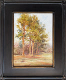 "Loblolly Pines" by Susan D Waters