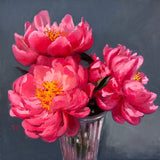 "Coral Peonies" by Julia Kamenskikh
