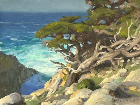 "Point Lobos Cliffside" by Trijsten Leach
