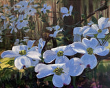 "April Dogwood" by Laura Floyd