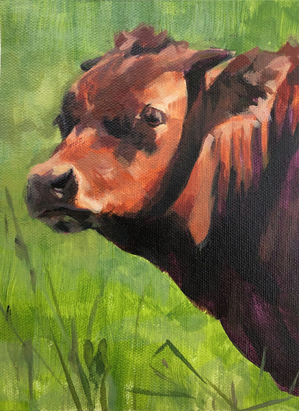 "Portrait of a Calf" by Laura Floyd
