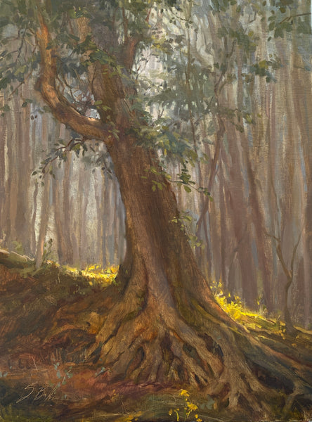 "Deep Roots" by Suzie Baker