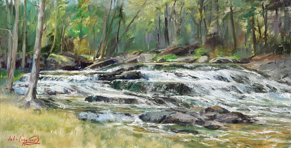 "Hidden Rapids" by John Caggiano