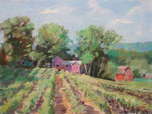 “The Vineyard” by John Caggiano