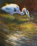 “In the Shallow” by Michelle Held