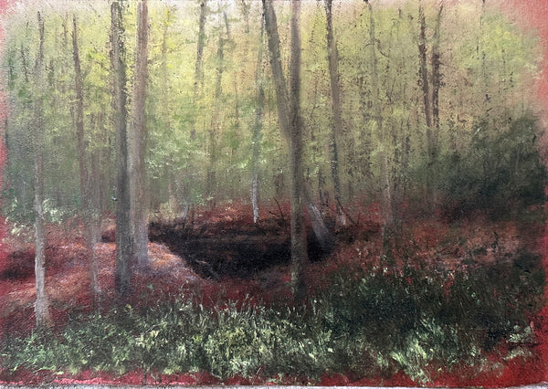 "Forest Hole" by Lisa Lebofsky