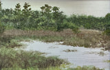 "Skidaway Park" by Lisa Lebofsky