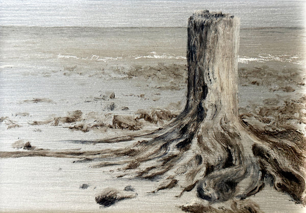 "Stump on Driftwood Beach" by Lisa Lebofsky