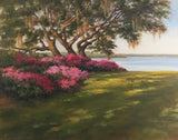 “Azaleas and Oaks” by Jill McGannon