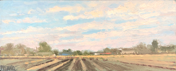 "Clouds and Sugarcane" by Crista Pisano